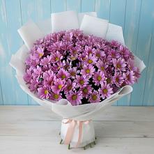 Букет цветов из:  Хризантемы в Константиновске