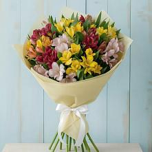 Букет цветов из:  Альстромерии #REPLACE_PRED# Константиновске