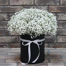 Цветочная композиция из Гипсофила в шляпной коробке в Константиновске